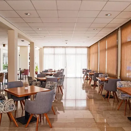 κισσός Πάφος